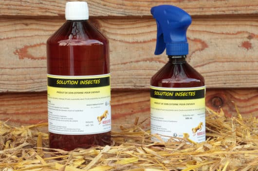 Solution insectes spray