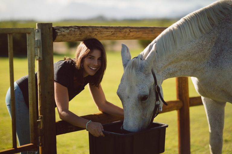 Concours : réussir la récupération de votre cheval